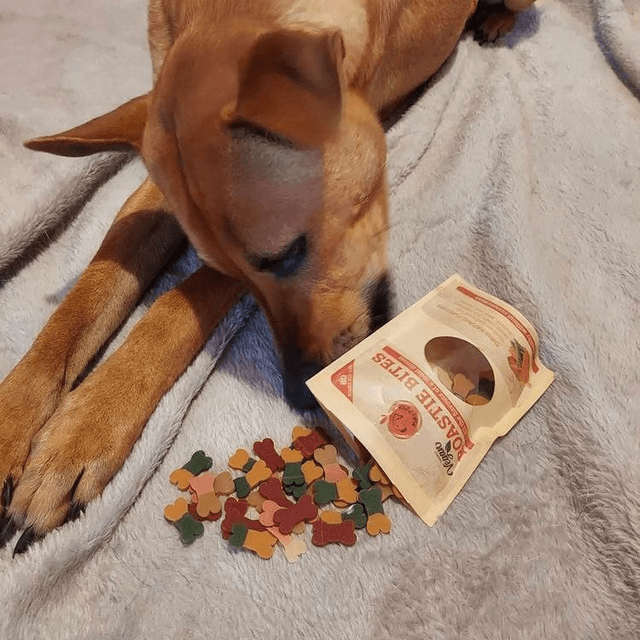 Training Treats - 100g
Vegan Roastie Bites 