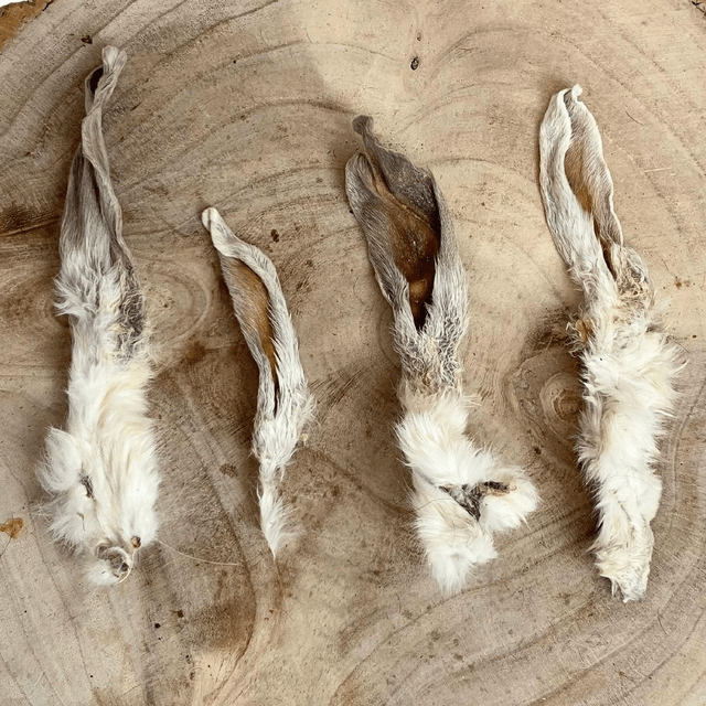 Rabbit Ears with fur