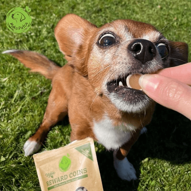 Training Treats - 100g Peanut Butter Vegan Coins