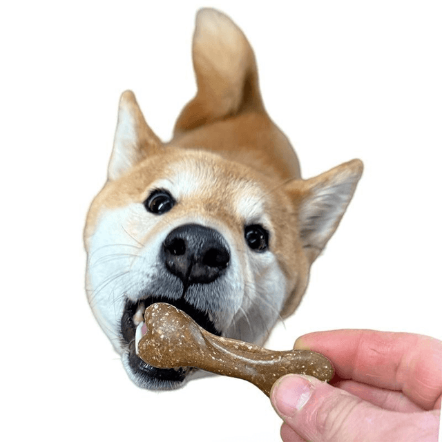 Bedtime Vegan Dog Biscuit