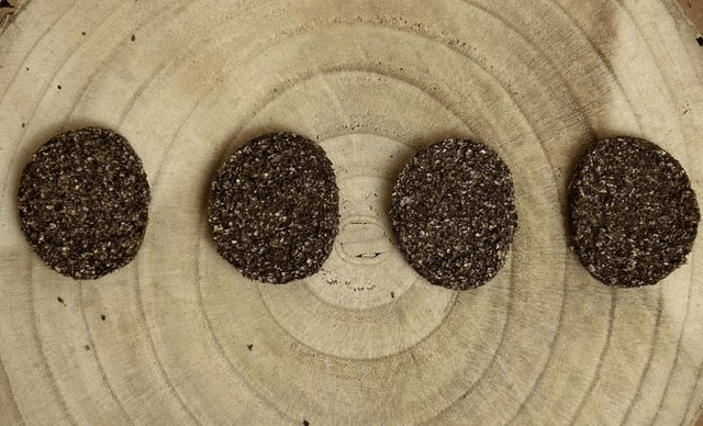 Venison Burgers