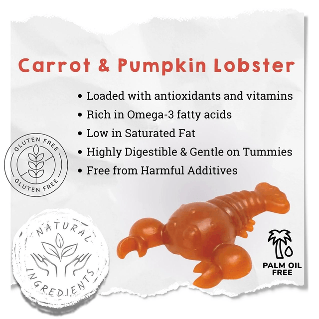 Carrot & Pumpkin Lobster for dogs