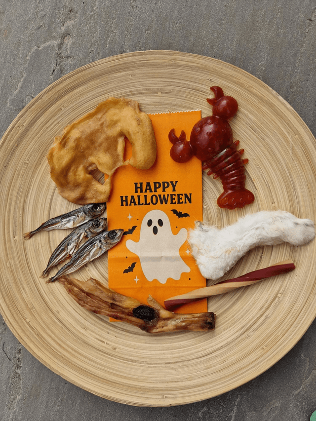 Halloween Dog Treat Bag