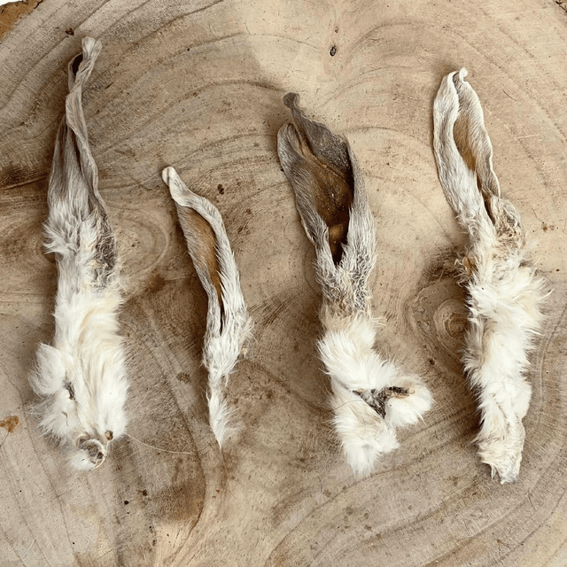 Rabbit Ears with fur