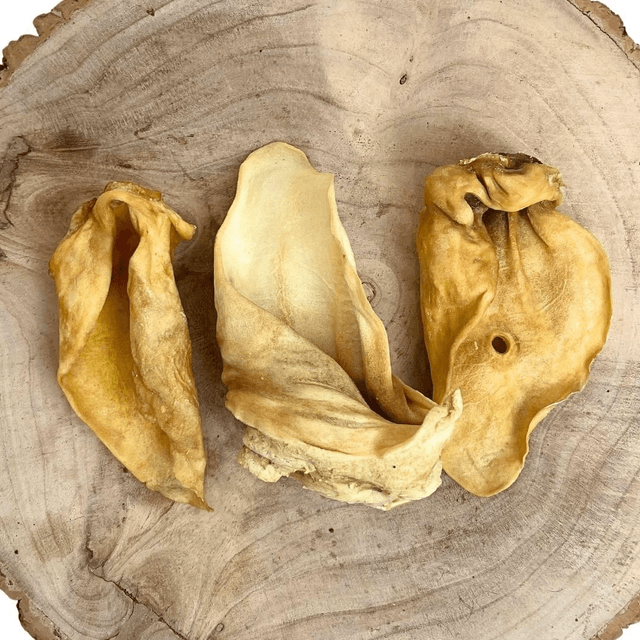Cows ears
