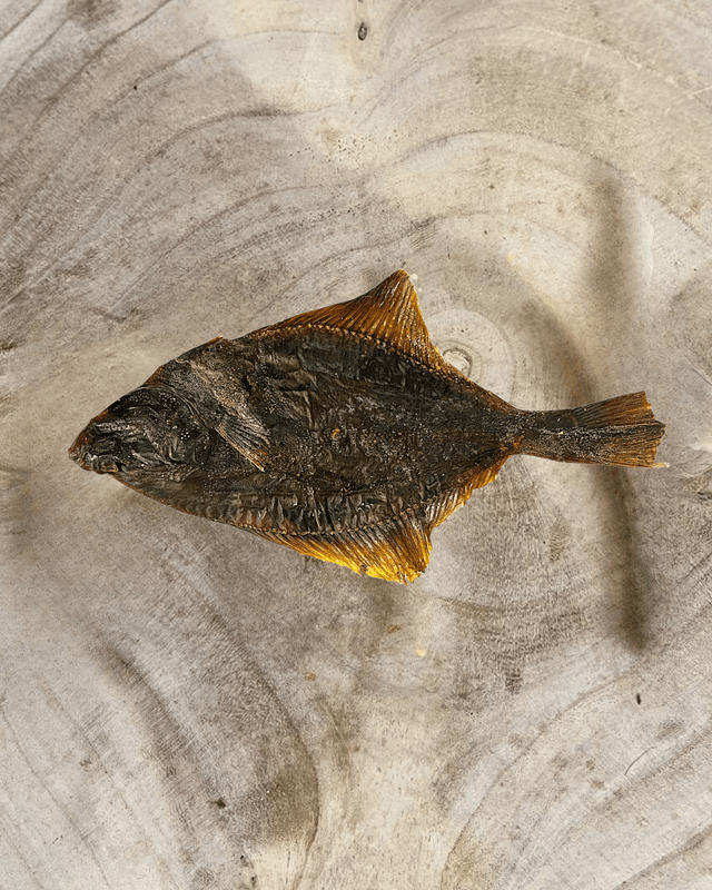 Flounder Fish for Dogs