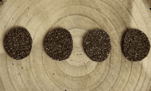 Venison Burgers